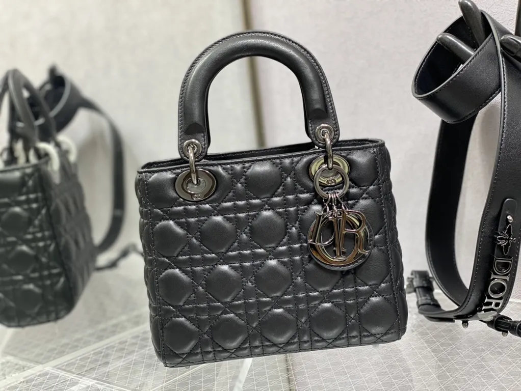 Dior Bag 